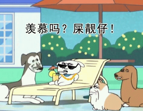 卡通狗狗炫耀：羡慕吗？屎靓仔！