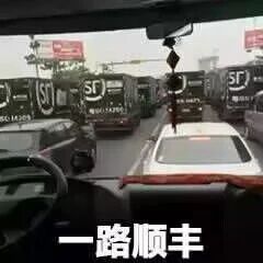 这是一张从车内视角拍摄的道路场景横图，画面中道路上有多辆印有“SF”标识的顺丰货运车辆，道路呈现出拥堵的状态。图片底部添加了文字“一路顺丰”，利用“顺风”与“顺丰”的谐音，将常用祝福语“一路顺风”结合画面中的顺丰货车进行改编，制造出巧妙的幽默效果，属于带有趣味谐音梗的标语类图片。