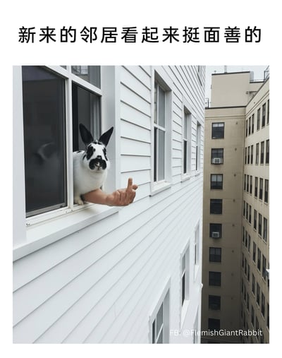 这是一张趣味合成梗图，画面展示了城市建筑群中的一栋白色建筑，窗台上一只黑白花斑兔子探出头，同时一只人手从窗台伸出，做出竖中指的不友好手势。图片上方配有文字“新来的邻居看起来挺面善的”，用反讽的方式制造强烈反差：文字描述的“面善”和画面里的不友好手势形成冲突，让原本可爱的兔子形象变得滑稽搞笑，整体效果幽默诙谐，充满调侃意味。