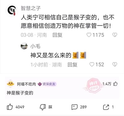 这是一张来自皮皮虾平台的社交媒体评论区静态截图，展示了三位用户的互动内容。用户“智慧之子”率先发表观点，将进化论（人类由猴子进化而来）与神创论对立，认为人类更愿意相信前者却不信神掌管万物；用户“小毛”针对该观点提出疑问“神又是怎么来的”；用户“阿喵不吃肉”给出了幽默的神评“神是猴子变的”，巧妙结合了前两者的内容，既回应了进化论的说法，又解答了神的起源问题，该评论获得了4049个点赞，还带有皮皮虾平台的“神评”标识，整体互动充满趣味性，是网络社区中典型的趣味神评内容。