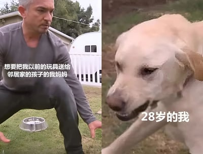 左边是一位表情担忧的中年男性蹲在院子里，配文'想要把我以前的玩具送给邻居家的孩子的我妈妈'；右边是一只表情悲伤的狗，配文'28岁的我'。通过对比展现成年人对童年玩具的不舍之情。