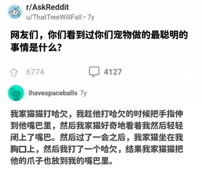 这是一张Reddit社区r/AskReddit的帖子截图，由用户u/ThatTreeWillFall在7年前发布，标题为“网友们，你们看到过你们宠物做的最聪明的事情是什么？”，帖子获得了6774个点赞和4127条评论。截图中展示了一条高赞评论，来自用户ihavespaceballs，内容描述了自家猫咪的聪明行为：当主人趁猫咪打哈欠时将手指伸进它嘴里后，猫咪之后在主人打哈欠时，也坐在主人胸口上把爪子放进了主人嘴里，展现了猫咪的模仿能力。