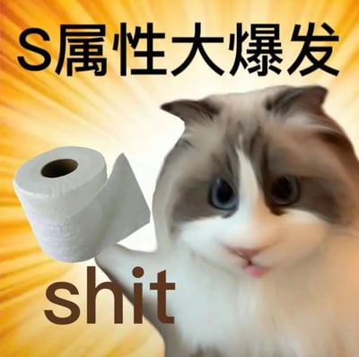 图片以黄色放射状光芒为背景，中央是一只灰白相间的猫咪，它睁着圆溜溜的蓝色眼睛，前爪抱着一卷卫生纸。图片上方醒目地写着黑色大字“**S属性大爆发**”，卫生纸卷下方则配有小写英文单词“**shit**”。整体通过猫咪的可爱形象与夸张的文字形成反差萌，核心笑点在于利用“S属性”中的“S”与“shit”的首字母进行谐音双关，幽默地表达“某种属性突然爆发”的戏谑场景。