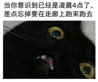 图片上方配有文字“当你意识到已经是凌晨4点了，差点忘掉要在走廊上跑来跑去”，下方是一张黑猫的特写照片。黑猫瞪大黄色的眼睛，嘴巴微张露出牙齿，表情显得十分惊恐和警觉，仿佛突然想起了什么重要的事情。图片通过拟人化的手法，幽默地调侃了猫咪在深夜精力旺盛、喜欢在家中奔跑玩耍的习性，将猫咪的行为与“凌晨4点突然想起任务”的人类心理活动结合，产生搞笑效果。