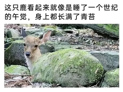 暂无描述