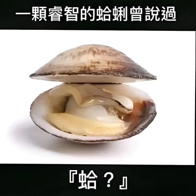图片主体为一只打开的蛤蜊，放置在纯白色背景上，蛤蜊壳呈棕褐色带有自然纹路，内部肉质清晰可见。图片上方有黑色背景白色文字“一颗睿智的蛤蜊曾说过”，下方有黑色背景白色文字“「蛤？」”。该图通过谐音梗制造幽默效果，“蛤”既指蛤蜊，又谐音表示疑问的“啊？”或惊讶的“哈？”，形成“睿智”与“疑惑”的反差萌笑点。