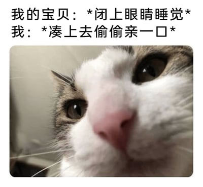 这是一张图文结合的搞笑表情包，上方配有两行文字，第一行是“我的宝贝：*闭上眼睛睡觉*”，第二行是“我：*凑上去偷偷亲一口*”，下方是一张猫咪的近距离脸部特写，猫咪睁着眼睛，眼神带着惊讶和懵感，仿佛就是被偷亲后突然醒过来抓包现场的“宝贝”。整个内容生动还原了铲屎官和自家宠物之间的趣味互动，用猫咪的真实反应来对应文字里的场景，充满了温馨又搞笑的氛围，很适合用来分享和宠物相处的可爱日常。