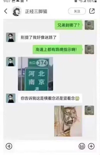 这是一段模拟的微信聊天记录截图，对话内容如下：用户询问朋友的位置，朋友表示自己在高速上迷路了，用户提醒高速上有路牌指引，随后朋友发出一张高速出口路牌的图片，路牌上“河北”“南京”两个地名上下排列，横着读会变成“河南”“北京”，两种读法指向完全不同的省份和城市，朋友因此困惑地询问该横着念还是竖着念，最后用户发送了一张扒在门框上、表情震惊崩溃的老虎表情包，表达自己的无语和错愕。
这个梗的笑点在于路牌的排版设计造成了严重的歧义，两种念法给出了完全相反的方向指引，让人瞬间失去判断，制造出荒诞搞笑的效果。对于路牌的读法问题，实际上这种路牌的正确读法是竖着念，指向河北和南京方向，横着的“河南”“北京”是排版巧合造成的歧义。