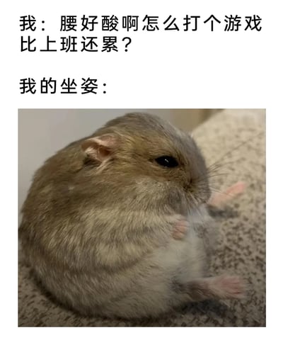 这是一张幽默的图文结合表情包，上方文字分为两部分，第一部分是“我：腰好酸啊怎么打个游戏比上班还累？”，表达了打游戏后腰酸的疑惑和吐槽，第二部分是“我的坐姿：”，引出下方的仓鼠图片；图片中的仓鼠身体蜷缩成一团，姿势扭曲，用这个形象来对应自己打游戏时的不良坐姿，搞笑地揭示了腰酸的原因，将打游戏的疲惫和上班对比，精准戳中很多人不注意坐姿的日常，容易引发共鸣。