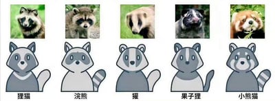 图片为两行五列的多图拼接，上排展示五种真实动物的照片，从左到右分别是狸猫、浣熊、獾、果子狸和小熊猫；下排对应为这五种动物的卡通形象插画，每个卡通下方标注了动物名称。整体风格可爱，旨在对比真实动物与卡通化形象的差异，帮助识别不同动物物种。