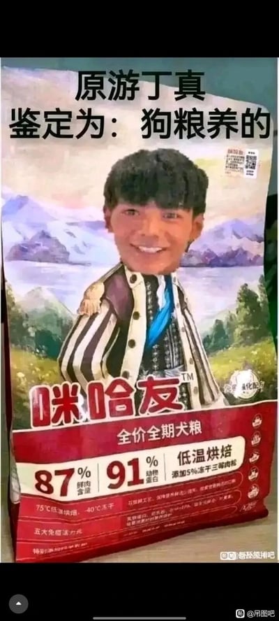 这是一张恶意恶搞的P图作品，创作者将公众人物丁真的头像与“咪哈友全价全期犬粮”的包装进行合成，让丁真的形象“替换”了包装原本的图案。图片顶部配有嘲讽性文字“原游丁真 鉴定为：狗粮养的”，包装上还标注了该犬粮的产品信息：87%鲜肉含量、91%动物蛋白、低温烘焙工艺、添加5%冻干三鲜肉松等，整体是通过将人物与宠物食品绑定的方式，对丁真进行嘲讽玩梗，属于网络上针对公众人物的恶意创作。