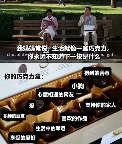 图片分为上下两部分。上半部分是电影《阿甘正传》的经典场景：福雷斯特·甘普坐在公园长椅上，身旁有一位女性在看书，他手持巧克力盒说出经典台词“我妈妈常说，生活就像一盒巧克力。你永远不知道下一块是什么”。下半部分展示了一个打开的巧克力盒，每个巧克力格子上都标注着不同的美好事物标签，包括“得到的善意”“小狗”“心意相通的网友”“爱”“支持你的家人”“很棒的朋友”“喜欢的作品”“生活中的幸运”“享受的爱好”等，通过这种方式对原台词进行了积极化改编，表达生活中的巧克力盒充满各种小确幸。
