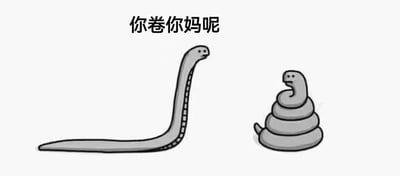 图片中包含两条卡通风格的蛇，左侧是一条身体细长伸直的蛇，右侧是一条身体盘卷成螺旋状的蛇。图片上方有黑色文字“你卷你妈呢”，以直白的网络用语吐槽社会中存在的“内卷”现象，通过蛇的不同形态（伸直与盘卷）形成对比，暗讽过度竞争、无意义内耗的行为。