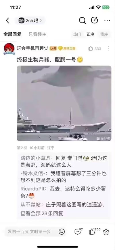 这是百度贴吧2ch吧的一则趣味帖子，用户“玩会手机再睡觉”发布了一张利用透视错位拍摄的照片：近距离的海鸥在画面中体型远超后方的航母，看起来像一只巨型“神鸟”，楼主戏称其为“终极生物兵器，鲲鹏一号”。下方评论区网友纷纷玩梗，有人一本正经地“解释”海鸥本来就这么大，有人疑惑拍摄方式，还有人调侃这只海鸥的食量、关联《逍遥游》的鲲鹏，充满戏谑的搞笑氛围。
这张图的核心是利用近大远小的透视原理制造的视觉错位效果，没有双关或谐音梗，纯粹靠视觉错觉带来笑点。