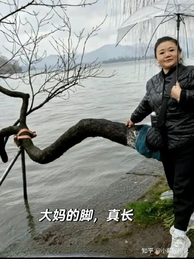 这是一张利用视觉错位营造幽默效果的梗图。大妈站在湖边，用手扶着一根向前弯曲的树枝，错位让树枝看起来就像是她非常长的一条腿。配文“大妈的脚，真长”进一步加重了这种搞笑和双关效果。这种利用现实场景错位制造“大长腿”的视觉梗在社交媒体上非常流行。