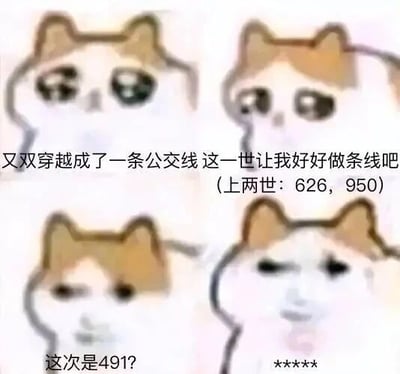 这是一张由四个表情递进的卡通猫猫组成的连环吐槽表情包，采用图文混排的形式。内容以拟人化的创意，将公交线设定为“穿越者”，先是泪眼汪汪地表示自己又一次“穿越”成了公交线，期许这一世能安稳做一条线路，还提及上两世是626、950路公交；当发现这次“穿越”成491路后，猫猫的表情从疑惑转变为无语嫌弃，用表情的变化对应这种心理落差，以搞笑的方式吐槽491路公交可能存在诸如线路难运营、体验不佳等问题，通过“穿越”的网络梗放大这种无奈感，制造诙谐的吐槽效果。