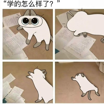 这是一组四格连环卡通梗图，顶部配文“学的怎么样了？”，生动还原了学生被问到学习进度时的心态变化：第一格是睁着大眼睛、一脸心虚的卡通猫站在散落的学习资料上；第二格猫的头部开始“消失”，身体也开始变形；第三格猫的身体进一步缩小、姿态崩溃；第四格直接变成了一只小狗趴在地上。整组图用夸张的变形手法，幽默地表现出被问学习时从心虚到想逃避、最后仿佛“退化”来躲避问题的社恐/学渣心态，精准戳中了学生群体的共鸣点。