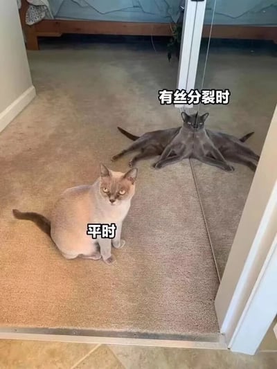 暂无描述
