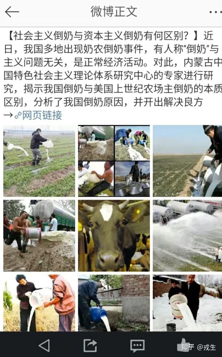 奶牛