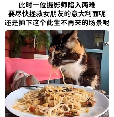 图片上方配有文字："此时一位摄影师陷入两难 要尽快拯救女朋友的意大利面呢 还是拍下这个此生不再来的场景呢"。图片主体是一只三花猫正低头专注地吃着一盘意大利面，面条从猫的嘴里垂下来，场景滑稽有趣。这张图通过拟人化的手法，幽默地展现了一个假设的摄影师面临的两难境地：是拯救食物还是捕捉难得的搞笑瞬间。