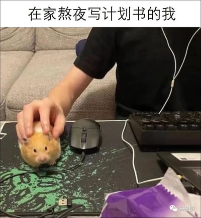 这是一张用来调侃职场加班的搞笑梗图，上方配文“在家熬夜写计划书的我”点明主题。画面中，一个人坐在居家的桌前，面前摆放着键盘、鼠标和电脑，他的手抓着一只圆滚滚的金丝熊仓鼠，将其放在鼠标垫上，位置与旁边的电脑鼠标相近，仿佛是在把这只仓鼠当作鼠标来操作，以此自嘲熬夜写计划书时疲惫、机械、麻木的状态，仓鼠懵懂的神态也让画面更添搞笑感，引发有加班赶工经历的人的共鸣。