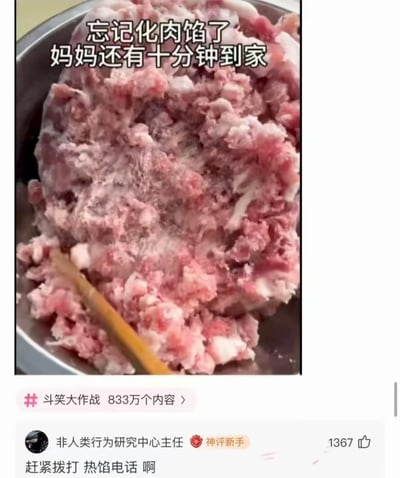 一张展示不锈钢碗中冷冻肉馅的图片，碗里有一把木勺。图片上方配有文字“忘记化肉馅了 妈妈还有十分钟到家”，表达了忘记提前解冻肉馅而妈妈即将到家的紧急又略带搞笑的家庭场景。图片下方有一条神评“赶紧拨打 热馅电话 啊”，利用谐音梗将“热线电话”改为“热馅电话”，增加了幽默感。