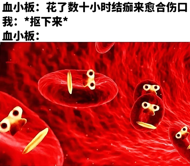工作细胞