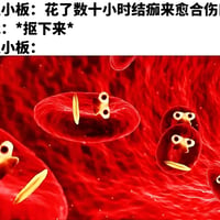 工作细胞