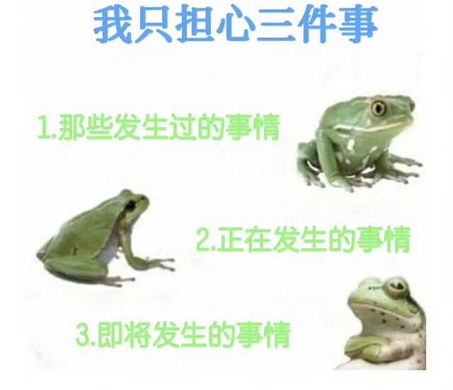 青蛙