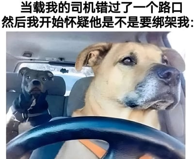 这张图片展示了一个幽默场景：两只狗在一辆车里，一只狗坐在驾驶座上，表情严肃地握着方向盘，另一只狗坐在后座，用怀疑的眼神看着前方。图片上方配有文字：'当载我的司机错过了一个路口然后我开始怀疑他是不是要绑架我:'，通过拟人化的手法，幽默地表达了当司机错过路口时乘客内心的不安和怀疑。