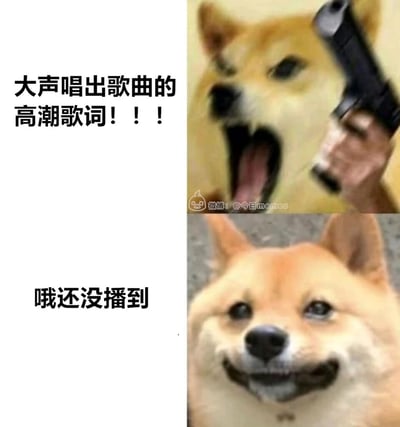 这是一张上下拼接的趣味梗图，上半部分呈现出被手枪指着的柴犬，搭配文字“大声唱出歌曲的高潮歌词！！！”，营造出紧张的催促氛围；下半部分则是一脸庆幸、带着假笑的柴犬，配文“哦还没播到”，形成强烈的反差感。该图精准还原了日常听歌时，被旁人催促演唱歌曲高潮部分，但歌曲还未播放到对应段落的尴尬又好笑的场景，通过夸张的视觉表现和文字反差制造出诙谐的笑点。