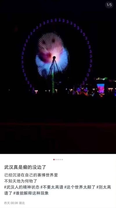 这是一张社交媒体动态截图，上方实拍了武汉某摩天轮的夜间灯光效果，摩天轮灯光呈现出极具赛博朋克感的奇异视觉，中心灯光如同炸开的彩色团块，外圈环绕紫色灯点；下方是发布者的吐槽文案，用夸张荒诞的语气调侃武汉“癫的没边了”，称其沉浸在自己的赛博世界里，还搭配了多个吐槽类话题标签，整体风格搞笑戏谑，充满网络玩梗的趣味。