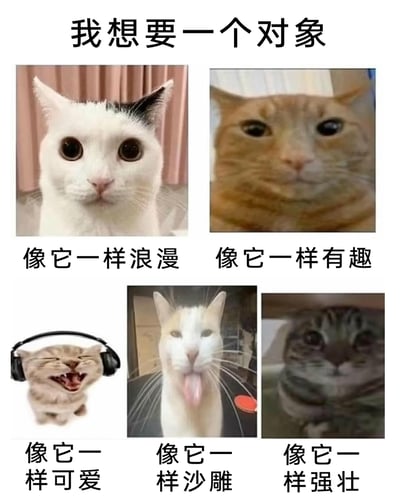 这是一张图文混排的搞笑表情包，顶部以文字“我想要一个对象”点明核心诉求，下方展示了五只神态各异的网络热门猫咪表情包：第一只白黑耳大眼猫咪，眼神懵懂温柔，配文“像它一样浪漫”；第二只是知名的“mur猫”，表情搞怪憨态，配文“像它一样有趣”；第三只戴着耳机眯眼大笑的小猫，神态愉悦，配文“像它一样可爱”；第四只吐舌的白猫，神态戏谑，配文“像它一样沙雕”；第五只脸圆敦实的狸花猫，看起来稳重强壮，配文“像它一样强壮”。整图通过猫咪的趣味神态，以幽默的方式表达了对理想对象的多重特质期待，风格接地气又充满笑点。