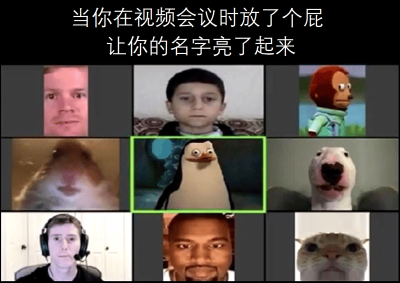 马达加斯加企鹅