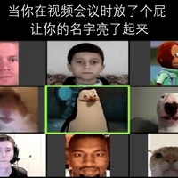 马达加斯加企鹅