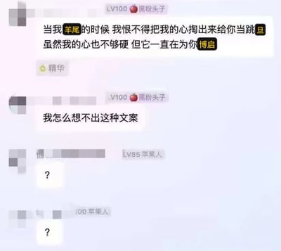 这是一张聊天记录截图，展示了一段包含文字游戏的创意文案。主要内容为："当我羊尾的时候 我恨不得把我的心掏出来给你当跳旦 虽然我的心也不够硬 但它一直在为你博启"，其中使用了谐音和双关手法制造幽默效果。随后有用户表示惊叹"我怎么想不出这种文案"，以及其他用户用问号表达疑惑或不解。