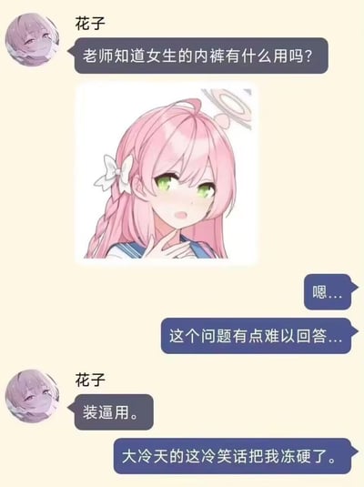 这是一张模拟《蔚蓝档案》角色浦和花子与老师的聊天记录截图，图中花子向老师提问“老师知道女生的内裤有什么用吗？”，老师表示问题难以回答，随后花子给出“装逼用”的谐音梗答案，利用“逼”的谐音制造低俗冷笑话效果，最后老师吐槽这个冷笑话让自己“冻硬了”，整体是尴尬又搞笑的冷幽默整活内容。
注：此处为低俗谐音梗，“装逼”的“逼”谐音身体私密部位，用错位语义制造笑话。