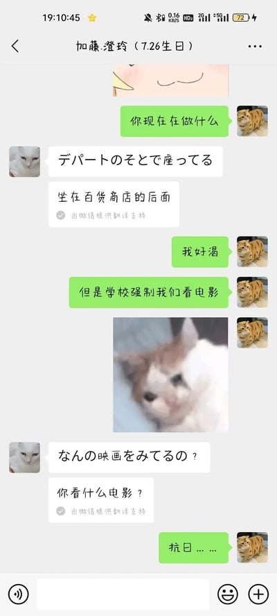 这是一张竖屏格式的微信聊天记录截图，呈现了一名中文用户与名为加藤.澄玲的日本友人的日常对话。对话以中文和日语双语进行，微信提供了日语内容的自动翻译支持：用户首先询问对方正在做什么，对方用日语回复并附带翻译，称自己坐在百货商店外面；随后用户表示自己口渴，还提到学校强制要求看电影，并发送了一张面露委屈神情的猫咪表情包；对方接着用日语询问观看的电影类型并附带翻译，用户回复是抗日相关的电影。聊天中双方的头像均为猫咪图片，整体氛围是轻松的日常交流。