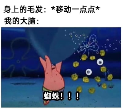 这是一张用来调侃人们对蜘蛛过度恐惧的搞笑梗图。图中上方配有文字“身上的毛发：*移动一点点* 我的大脑：”，下方是美国动画《海绵宝宝》里派大星被吓得魂飞魄散的夸张画面：派大星双手高举、身体后仰，眼睛和方块状的身体部件都被吓得飞了出来，画面底部配文“蜘蛛！！！”。整个梗图生动地表现出部分人群对蜘蛛的极度恐惧——哪怕只是身上的毛发轻微移动，大脑都会立刻联想到蜘蛛，进而产生失控般的惊慌反应，用夸张的卡通画面放大了这种过度恐惧的搞笑效果。