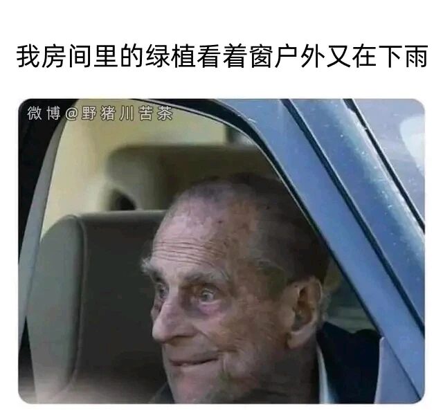 英国王室成员