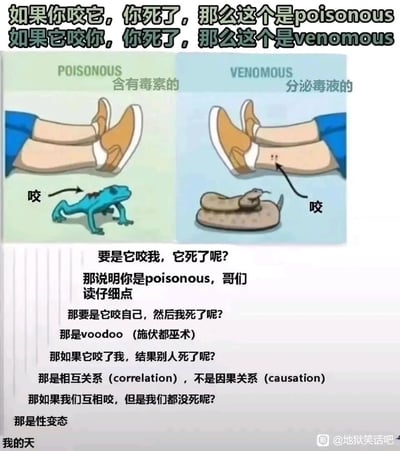 这是一张结合科普与脑洞玩梗的搞笑梗图，整体采用左右分栏的图文混排形式：左栏通过图示和文字解释英文“poisonous（含有毒素的）”的定义——当人咬了蓝色毒蛙后死亡，说明该生物是含有毒素的；右栏解释“venomous（分泌毒液的）”的定义——当响尾蛇咬了人后导致人死亡，说明该生物是分泌毒液的。在科普内容下方，是一系列脑洞大开的问答环节，用荒诞幽默的方式延伸玩梗：提问者依次提出“要是它咬我，它死了呢？”“那要是它咬自己，然后我死了呢？”“那如果它咬了我，结果别人死了呢？”“那如果我们互相咬，但是我们都没死呢？”等奇葩问题，回答者分别用“那说明你是poisonous，哥们，读仔细点”“那是voodoo（施伏都巫术）”“那是相互关系（correlation），不是因果关系（causation）”“那是性变态”等搞笑回复回应，最后以“我的天”的感叹收尾，将科普知识与地狱笑话、逻辑梗、荒诞脑洞结合，制造出强烈的喜剧效果。