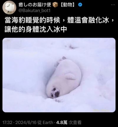一张展示海豹可爱睡姿的图片，画面中一只通体雪白的海豹蜷缩成球状，沉睡在冰雪之中，身体周围的冰雪似乎被体温融化形成了一个小凹陷。图片上方配有文字说明海豹睡觉时体温会融化冰块，让身体自然沉入雪中的有趣现象，整体给人一种治愈、温馨的感觉。