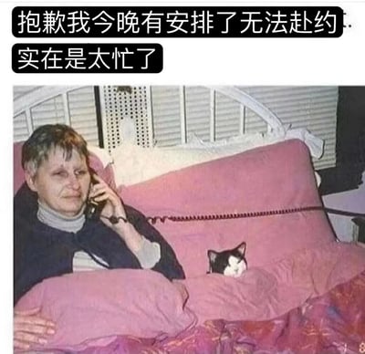 图片中一位中老年女性舒适地躺在铺着粉色枕头的床上，左手拿着老式电话贴在耳边通话，被子里还探出一只黑白相间的猫咪脑袋。上方配有两行文字：“抱歉我今晚有安排了无法赴约”和“实在是太忙了”。画面通过人物慵懒的躺姿、猫咪的悠闲状态与文字中“太忙”的借口形成强烈幽默反差，生动展现了人们用忙碌当借口拒绝社交，实则在家放松躺平的真实状态。