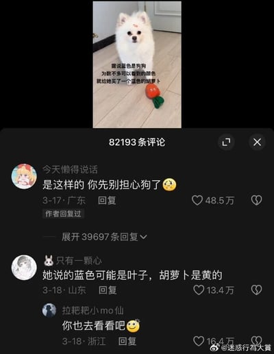 这是一张来自微博的社交媒体截图，整体分为上下两个区域。上半区域是一张实拍图，画面中有一只白色博美犬端坐在室内地面上，平静直视镜头，它的身旁放着一个胡萝卜造型的玩具，配文称“据说蓝色是狗狗为数不多可以看到的颜色，就给她买了一个蓝色的胡萝卜”。下半区域是该内容的评论区，展示了三条高赞评论：用户“今天懒得说话”评论“是这样的 你先别担心狗了”，获得48.5万点赞；用户“只有一颗心”评论“她说的蓝色可能是叶子，胡萝卜是黄的”，获得13.4万点赞；用户“拉粑粑小mo仙”评论“你也去看看吧”，获得16.4万点赞。评论区的内容是在调侃内容发布者混淆了胡萝卜的颜色，将胡萝卜的绿色叶子和黄色主体搞反，暗示需要担心的是发布者的认知，而非狗狗的视觉问题，充满了搞笑的反差感。