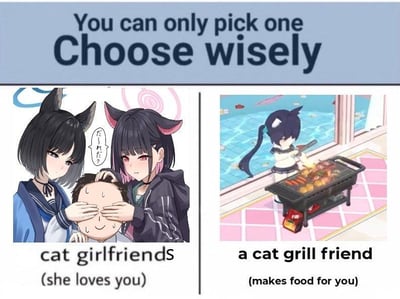 这是一张左右分栏的对比梗图，顶部用英文写着“You can only pick one Choose wisely”，翻译成中文是“你只能选一个，明智地选择”。左侧是游戏《蔚蓝档案》中的两位猫娘角色猫塚响和杏山和纱，她们正捂住中间人物的眼睛，旁边的日文气泡写着“だーれだ？”（意为“是谁？”），下方配文“猫娘女友（她爱着你）”；右侧是同游戏中的猫娘角色黑馆晴奈，她正站在户外的烧烤架前为你烹制食物，下方配文“会做饭的猫娘朋友（为你做饭）”。图中玩了谐音双关梗，将“girlfriend”（女友）替换为发音相近的“grill friend”（grill有烧烤、烤架的意思），制造出趣味反差，让网友在“被爱”和“美食”之间做出纠结的选择。