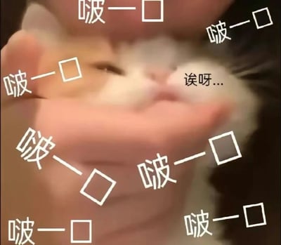 图片中一只白色的小猫咪被人类用双手捧着，猫咪表情看起来有些无奈和抗拒。周围环绕着多个"啵一口"的文字和小方框图案，猫咪脸部旁边还有"诶呀..."的文字，表现出猫咪被强行亲吻时的可爱反应。整体画面充满了萌宠特有的可爱氛围，适合用于表达对小动物的喜爱之情。
