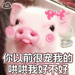 委屈求哄的粉色小猪