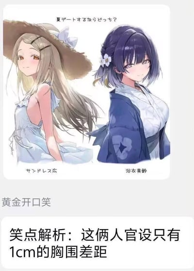 这是一张ACG圈的搞笑梗图，画面上方是两位《偶像大师 闪耀色彩》的动漫女性角色，左边是穿浅色吊带裙的大崎广，右边是穿蓝白浴衣的市川美玲，上方日文写着“夏天约会的话选哪个？”；画面下方配有中文文字“黄金开口笑”和笑点解析“这俩人官设只有1cm的胸围差距”。
笑点在于：官方设定中两位角色的胸围仅相差1厘米，但图中呈现出的视觉效果差距极大，这种设定与画面的强烈反差制造出搞笑感。