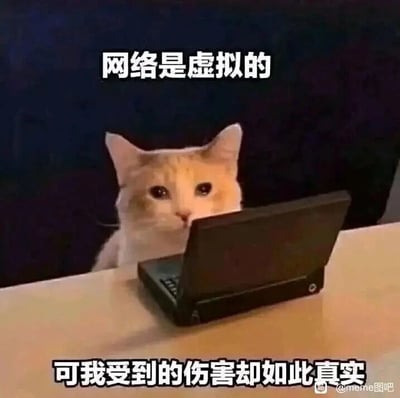 这是一张静态的图文混排梗图，画面主体是一只黄白相间的猫咪，它坐在浅色桌子前，面前摆放着一台小型黑色笔记本电脑，猫咪眼神委屈低落，看起来十分失落。图片上方配有白色文字“网络是虚拟的”，下方配有白色文字“可我受到的伤害却如此真实”，通过拟人化的手法，借猫咪的状态生动地表达了人们在网络世界中遭遇负面事件，比如网络暴力、被误解、被攻击等后，所感受到的真实且强烈的情绪伤害，能够引发经常进行网络社交、冲浪的用户的强烈共鸣。