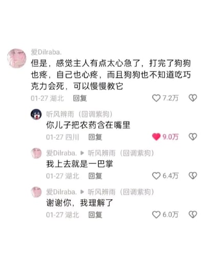 这是一段来自国内短视频平台的评论区互动内容。用户“爱Dilraba.”最初针对宠物主人打吃巧克力的狗狗的行为，认为主人过于心急，应该慢慢教导狗狗；用户“听风辨雨（回调紫狗）”则用“你儿子把农药含在嘴里”的场景进行类比反问，“爱Dilraba.”立刻表示自己会一巴掌制止，随后又回复表示理解了对方的意思，明白狗狗误食巧克力和孩子含农药一样存在生命危险，需要立刻制止。这段对话通过换位思考的类比，让用户快速共情宠物主人的行为，相关评论获得了数万点赞，体现了内容的共鸣度。
